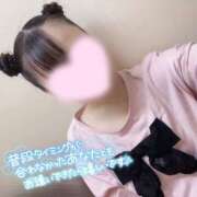 ヒメ日記 2025/08/14 11:15 投稿 ぴあの バイオレンス