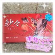 ヒメ日記 2025/09/08 18:00 投稿 ぴあの バイオレンス
