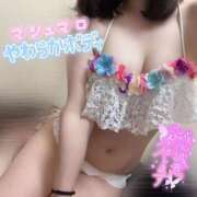 ヒメ日記 2025/09/09 11:16 投稿 ぴあの バイオレンス