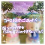 ヒメ日記 2025/09/30 20:25 投稿 ぴあの バイオレンス