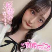 ヒメ日記 2025/11/19 06:15 投稿 ぴあの バイオレンス