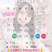 ヒメ日記 2025/11/24 18:45 投稿 ぴあの バイオレンス