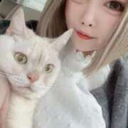 ヒメ日記 2025/03/17 17:25 投稿 ゆいか ファッションヘルス カリスマ