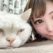 ヒメ日記 2025/04/04 14:45 投稿 ゆいか ファッションヘルス カリスマ