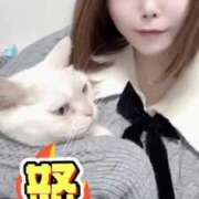 ヒメ日記 2025/05/02 15:06 投稿 ゆいか ファッションヘルス カリスマ