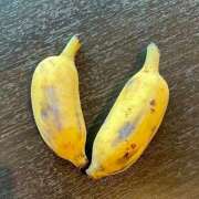 ヒメ日記 2025/04/14 18:19 投稿 飯塚日和 札幌ソフィア