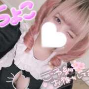 ヒメ日記 2025/08/25 08:13 投稿 ちょこ 府中ダービー