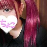 ヒメ日記 2025/10/03 08:33 投稿 ちょこ 府中ダービー