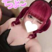 ヒメ日記 2025/10/08 16:53 投稿 ちょこ 府中ダービー