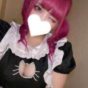 ヒメ日記 2025/10/27 10:23 投稿 ちょこ 府中ダービー