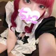 ヒメ日記 2025/11/04 11:11 投稿 ちょこ 府中ダービー