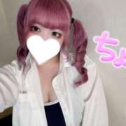 ヒメ日記 2025/11/04 22:03 投稿 ちょこ 府中ダービー