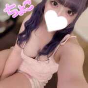 ヒメ日記 2025/11/13 16:53 投稿 ちょこ 府中ダービー