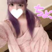 ヒメ日記 2025/11/22 00:03 投稿 ちょこ 府中ダービー