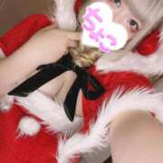 ヒメ日記 2025/11/25 12:43 投稿 ちょこ 府中ダービー