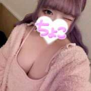 ヒメ日記 2025/11/28 15:06 投稿 ちょこ 府中ダービー