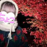 ヒメ日記 2025/12/06 14:33 投稿 ちょこ 府中ダービー