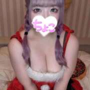 ヒメ日記 2025/12/10 00:23 投稿 ちょこ 府中ダービー