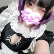 ヒメ日記 2026/01/24 11:33 投稿 ちょこ 府中ダービー