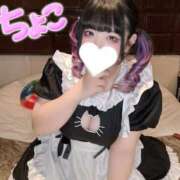 ヒメ日記 2026/01/29 18:33 投稿 ちょこ 府中ダービー