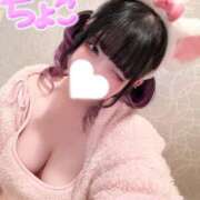 ヒメ日記 2026/02/21 18:13 投稿 ちょこ 府中ダービー