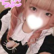 ヒメ日記 2026/05/19 06:08 投稿 ちょこ 府中ダービー