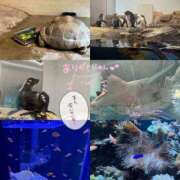 おと わくわくday♥️ 美少女制服学園CLASSMATE　五反田校