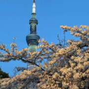 ゆみか先生 お礼♡ 美少女制服学園CLASSMATE　五反田校