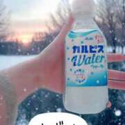 ヒメ日記 2025/01/20 21:46 投稿 ゆずは Lolipop（ロリポップ）