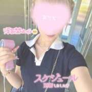 ヒメ日記 2026/08/03 16:46 投稿 芽依(めい) 相模原人妻城