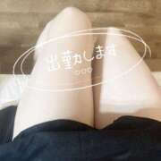 ヒメ日記 2025/10/31 18:03 投稿 さり 素敵な女の子は好きですか？