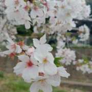 ヒメ日記 2025/04/27 11:43 投稿 しずか One More 奥様　西船橋店