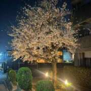 ヒメ日記 2025/05/21 22:10 投稿 しずか One More 奥様　西船橋店