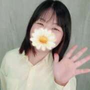 ヒメ日記 2026/04/15 09:43 投稿 かほこ 君とふわふわプリンセスin川越