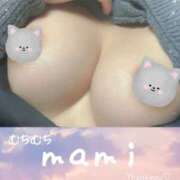 ヒメ日記 2025/03/09 11:41 投稿 まみ 横浜人妻セレブリティ（ユメオト）