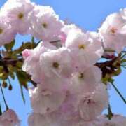 ヒメ日記 2025/04/15 22:08 投稿 まみ 横浜人妻セレブリティ（ユメオト）