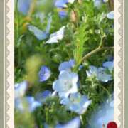 ヒメ日記 2025/04/26 09:31 投稿 まみ 横浜人妻セレブリティ（ユメオト）