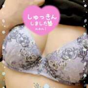 ヒメ日記 2025/06/04 12:04 投稿 まみ 横浜人妻セレブリティ（ユメオト）