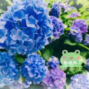 ヒメ日記 2025/06/11 18:58 投稿 まみ 横浜人妻セレブリティ（ユメオト）