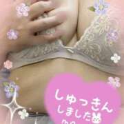 まみ おもちもちもち(ﾉ)ˊ꒳ˋ(ヾ) 横浜人妻セレブリティ（ユメオト）