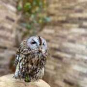 ヒメ日記 2026/04/27 04:27 投稿 ゆうか 群馬伊勢崎ちゃんこ