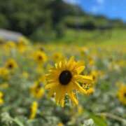 ヒメ日記 2026/04/29 06:47 投稿 ゆうか 群馬伊勢崎ちゃんこ