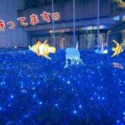 ヒメ日記 2024/12/08 10:33 投稿 まりこ 完熟ばなな大宮