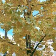 ヒメ日記 2024/12/14 10:53 投稿 まりこ 完熟ばなな大宮