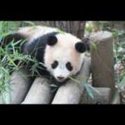 ヒメ日記 2025/01/07 16:33 投稿 まりこ 完熟ばなな大宮