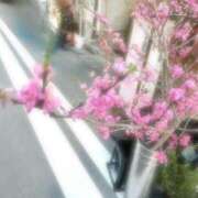 ヒメ日記 2025/03/07 09:13 投稿 まりこ 完熟ばなな大宮