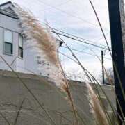 ヒメ日記 2025/03/11 17:43 投稿 まりこ 完熟ばなな大宮