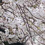 ヒメ日記 2025/04/01 17:43 投稿 まりこ 完熟ばなな大宮