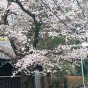 ヒメ日記 2025/04/05 11:13 投稿 まりこ 完熟ばなな大宮