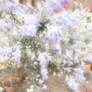 ヒメ日記 2025/04/24 07:53 投稿 まりこ 完熟ばなな大宮